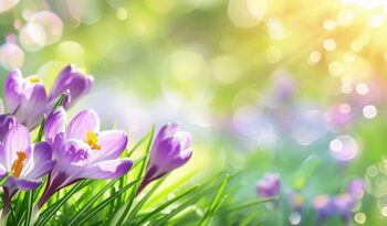 ВЕСЕННЕЕ НАСТРОЕНИЕ I КОНЦЕРТ АНСАМБЛЯ «ЭКСПРОМТ»